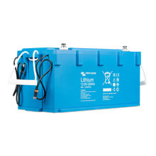 Batterie Victron Energy NG 12.8 V 300 Ah LiFePO₄ (IP65, Shunt intégré, Scalable jusqu’à 385 kWh) Boutique Solaire Québec